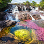Caño Cristales | O rio das 5 cores da Colômbia
